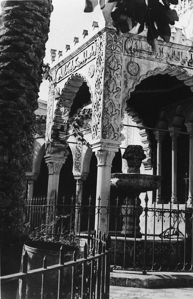 ORAN 02502.jpg